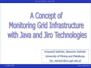 A Concept of Monitoring Grid Infrastructure with Java and Jiro Technologies