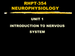 RHPT-354 NEUROPHYSIOLOGY UNIT 1 INTRODUCTION TO NERVOUS