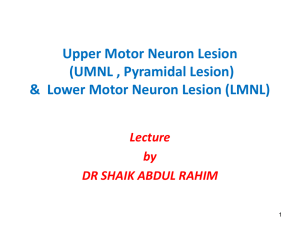 Upper Motor Neuron Lesion (UMNL , Pyramidal Lesion) Lecture