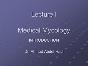 Lecture1 Medical Mycology INTRODUCTION Dr. Ahmed Abdel-Hadi