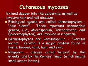 Cutaneous mycoses