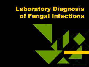 Laboratory Diagnosis of Fungal Infections