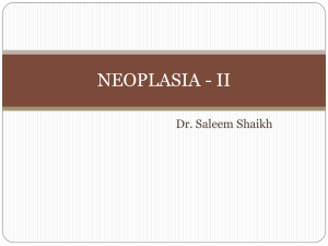 neoplasia 2
