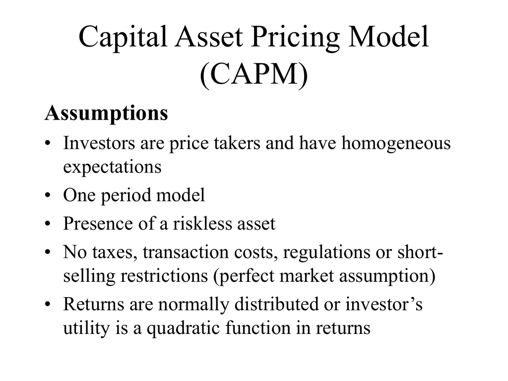 capital asset pricing model capm