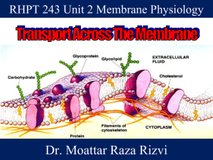 Membrane Physiology