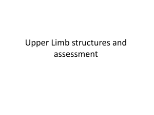 Upper Limb structures and assessment