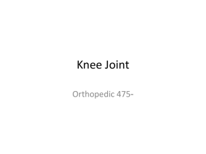 Knee Joint - Orthopedic 475