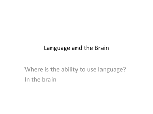 Language and brain