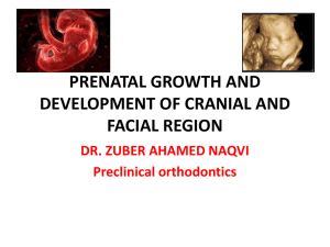 PRENATAL GROWTH AND DEVELOPMENT OF CRANIAL AND FACIAL REGION DR. ZUBER AHAMED NAQVI