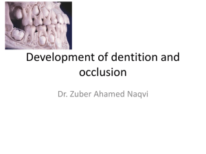 Development of dentition and occlusion Dr. Zuber Ahamed Naqvi