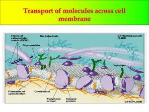 Transport of molecules across cell membrane