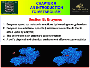 CHAPTER 6 AN INTRODUCTION TO METABOLISM Section B: Enzymes