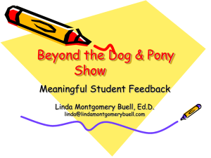 Soliciting Meaningful Student Feedback.ppt