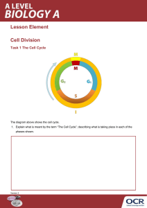 Cell division - Activity - Lesson element (DOCX, 327KB) Updated 29/02/2016