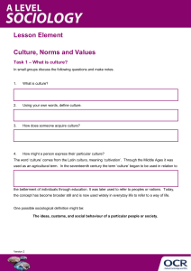 Culture, norms and values - Activities - Lesson element (DOCX, 505KB)