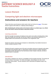 Comparing light and electron microscopes - Lesson element (DOC, 417KB)