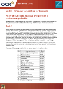 Unit 03 - Know about costs, revenue and profit - Lesson element - learner task (DOC, 284KB) New