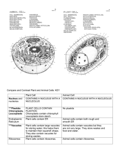 1.1 Compare and contrast plant and animal cells