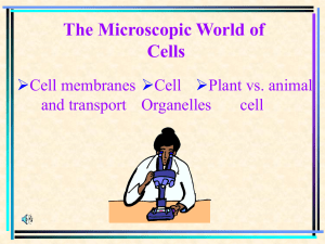 1.1 Cells and organelles Presentation.ppt