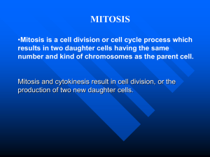 1.2.2 MITOSIS-ppt.ppt