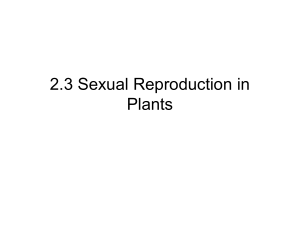 2.3 Sexual Reproduction in Plants.ppt