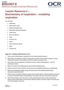 – Learner Resource 2 – modelling Biochemistry of respiration