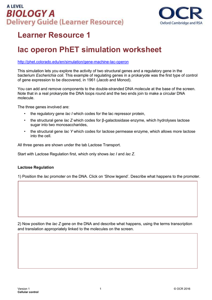 Learner Resource 1 Lac Operon PhET Simulation Worksheet