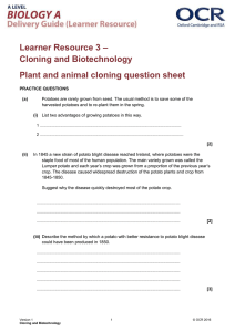 – Learner Resource 3 Cloning and Biotechnology Plant and animal cloning question sheet