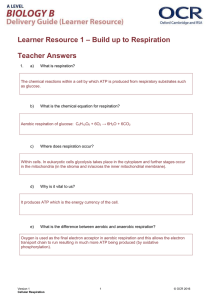 Learner resource 1: Answers