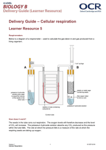 ‒ Cellular respiration Delivery Guide Learner Resource 5