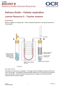 Learner resource 5: Answers