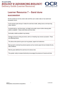– Sand dune Learner Resource 7 succession