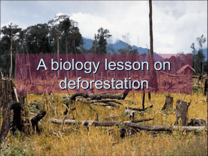 A biology lesson on deforestation