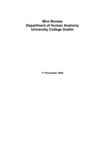Department of Human Anatomy (11/2004) (opens in a new window)