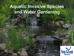 Aquatic Invasive Species and Water Gardening t et