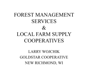 Larry Wojchik