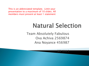 Natural Selection Presentation Template