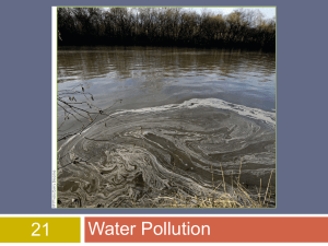Water Pollution 21