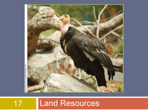 17, Land Resources