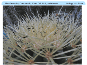 Plant Secondary Compounds; Water, Cell Walls, and Growth