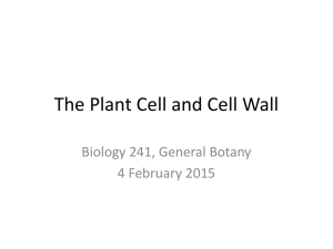 The Plant Cell and Cell Wall Biology 241, General Botany