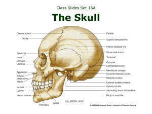 The Skull Class Slides Set 16A