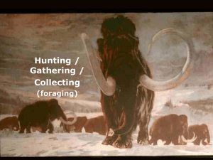 hunting / gathering slides