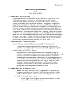 Reference 19 - Annual Audit Plan Development