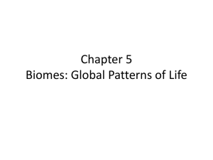 Chapter 5 Biomes: Global Patterns of Life