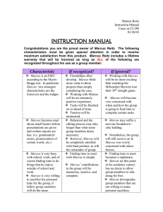 Marcus Reitz Instruction Manual
