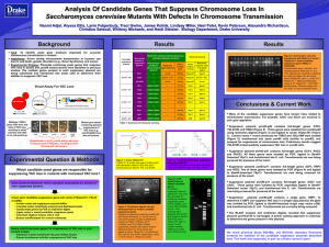 PDF of research poster (9.895Mb)