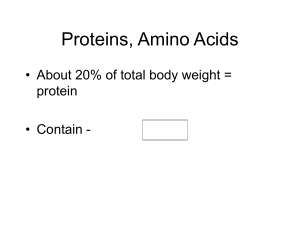 Proteins Outline