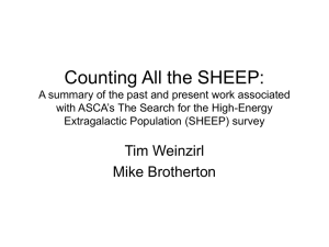countingallthesheep.ppt (560Kb)