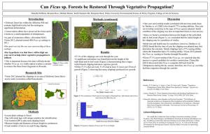 PDF of research poster (2.542Mb)